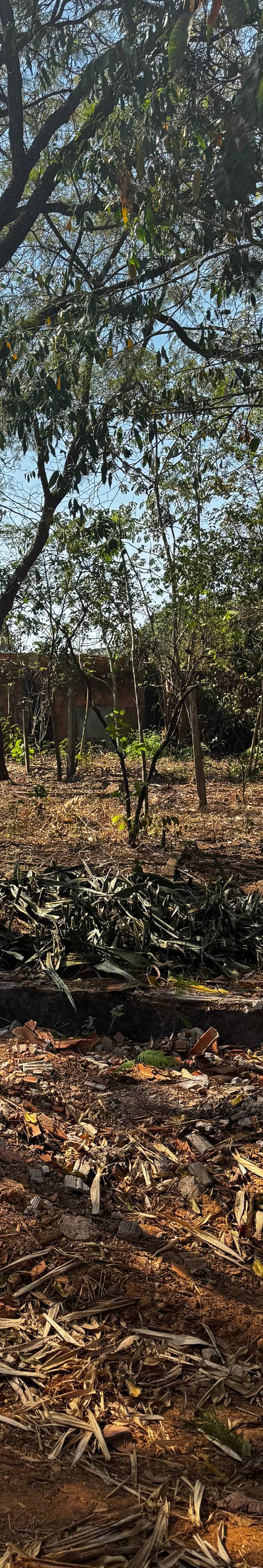 Lote/ Terreno à venda